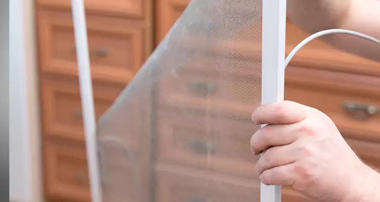 Privacy Mesh Screen Door Installation in Fairfield, CA